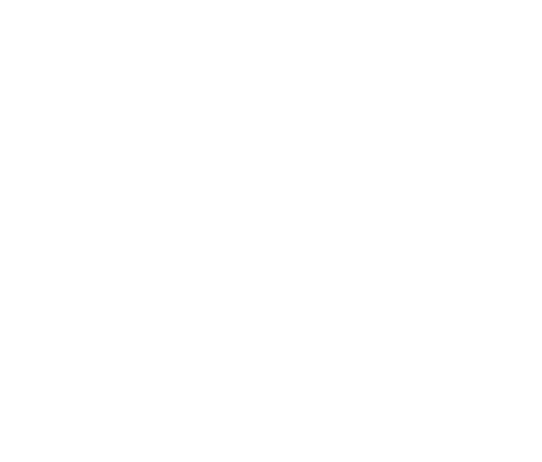 Johnnys burgers